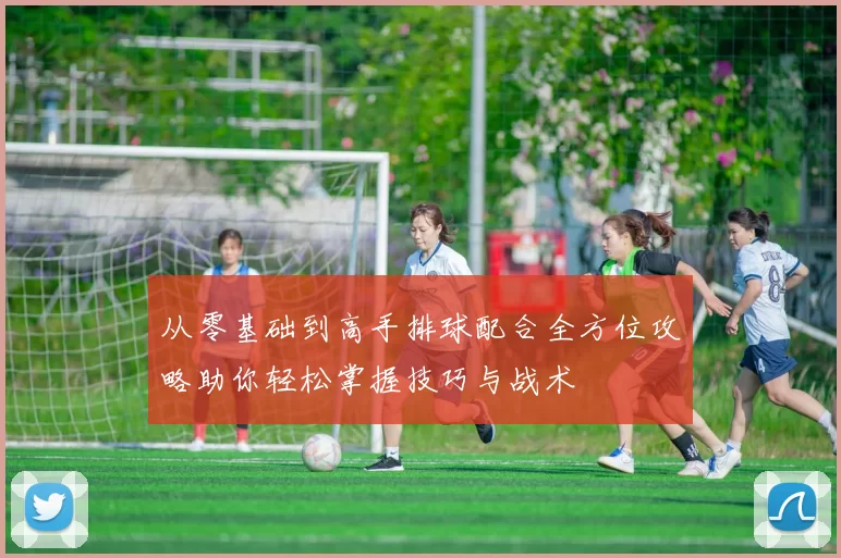 从零基础到高手排球配合全方位攻略助你轻松掌握技巧与战术